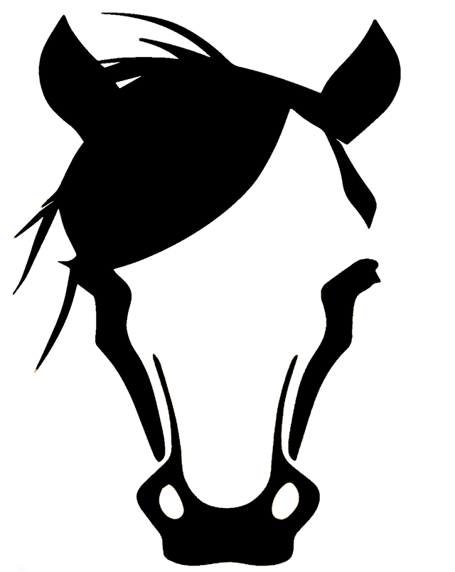 BOSHO - Premium Coffee Store